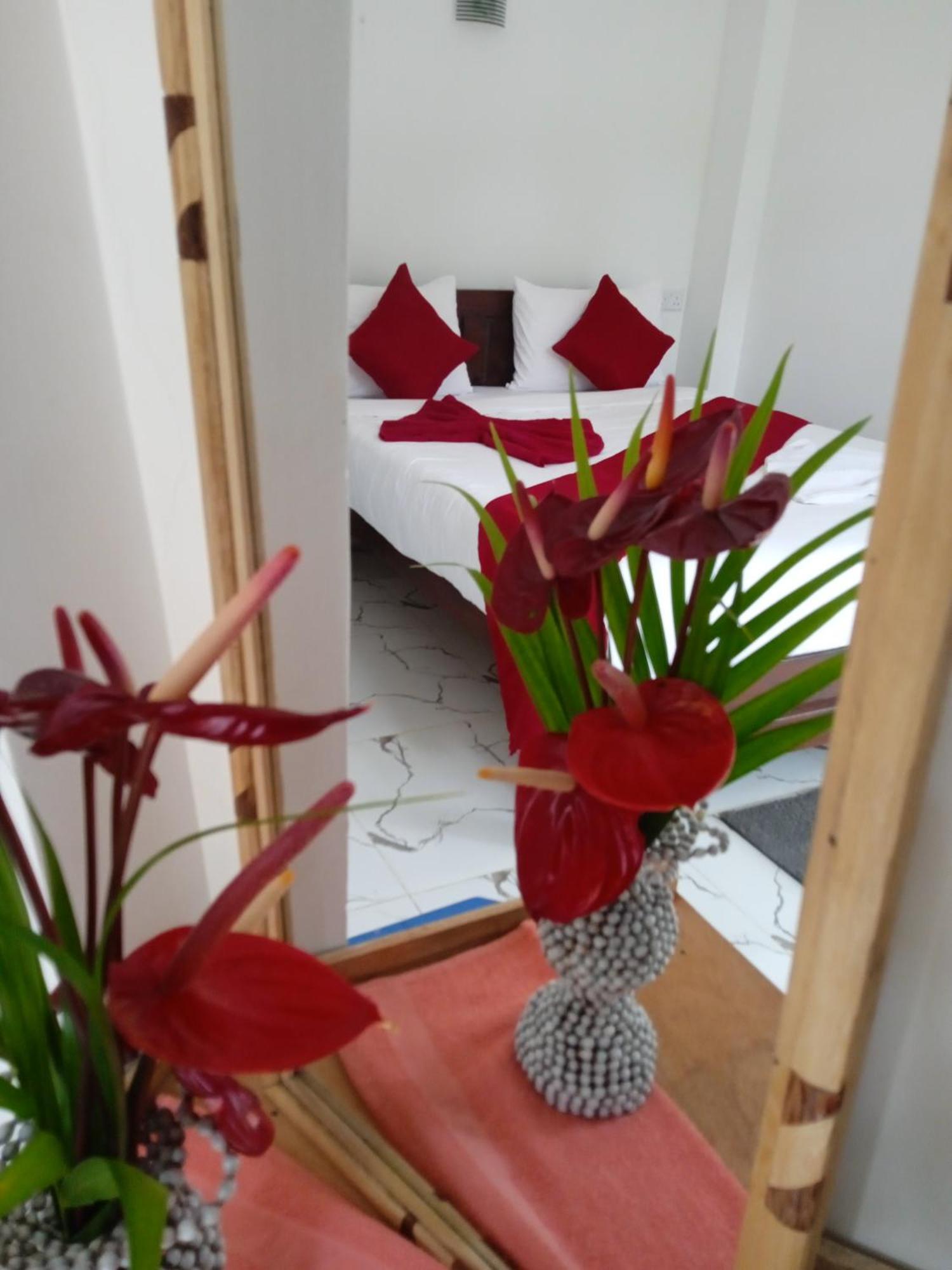 Nine Arch Corner Apartment Ella Luaran gambar