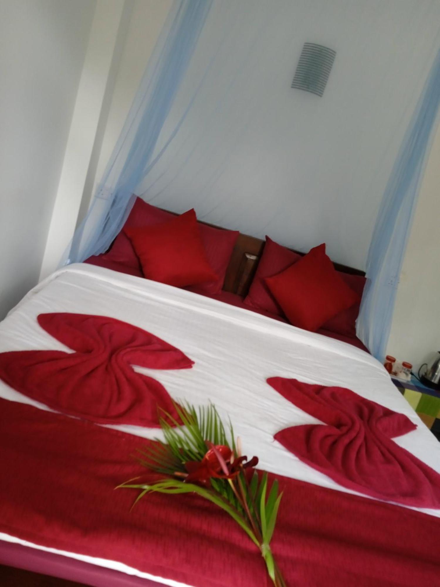 Nine Arch Corner Apartment Ella Luaran gambar